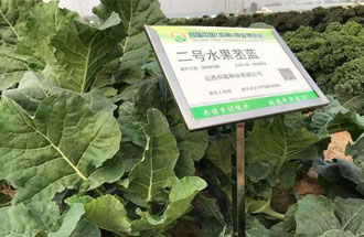 10月23日，中國(guó)（鄭州）種業(yè)博覽會(huì)將在河南省鄭州市中牟縣官渡鎮(zhèn)鄉(xiāng)謠農(nóng)場(chǎng)舉辦
