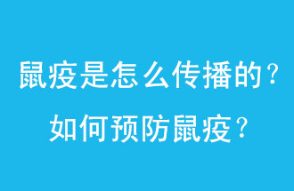 鼠疫是怎么傳播的？如何預(yù)防鼠疫？